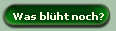 Was blht noch?