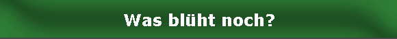 Was blht noch?