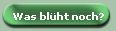 Was blht noch?